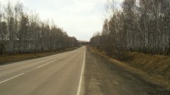 Дорога между Колчедан и Новоисетским.JPG